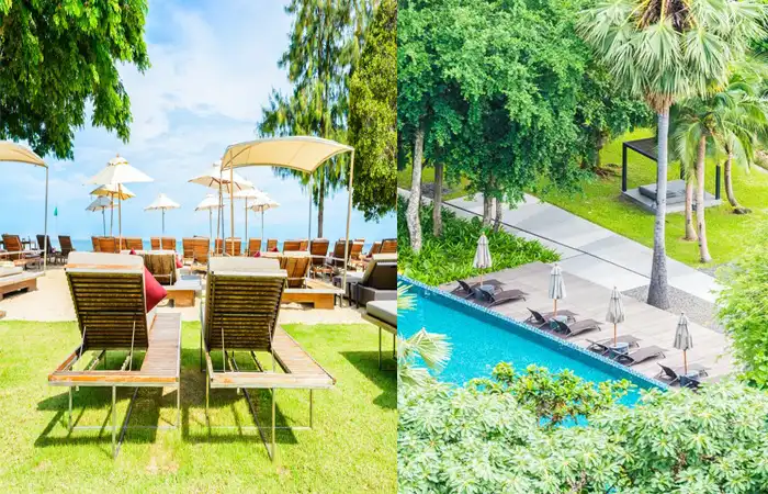 backyard-paradise-establish.webp